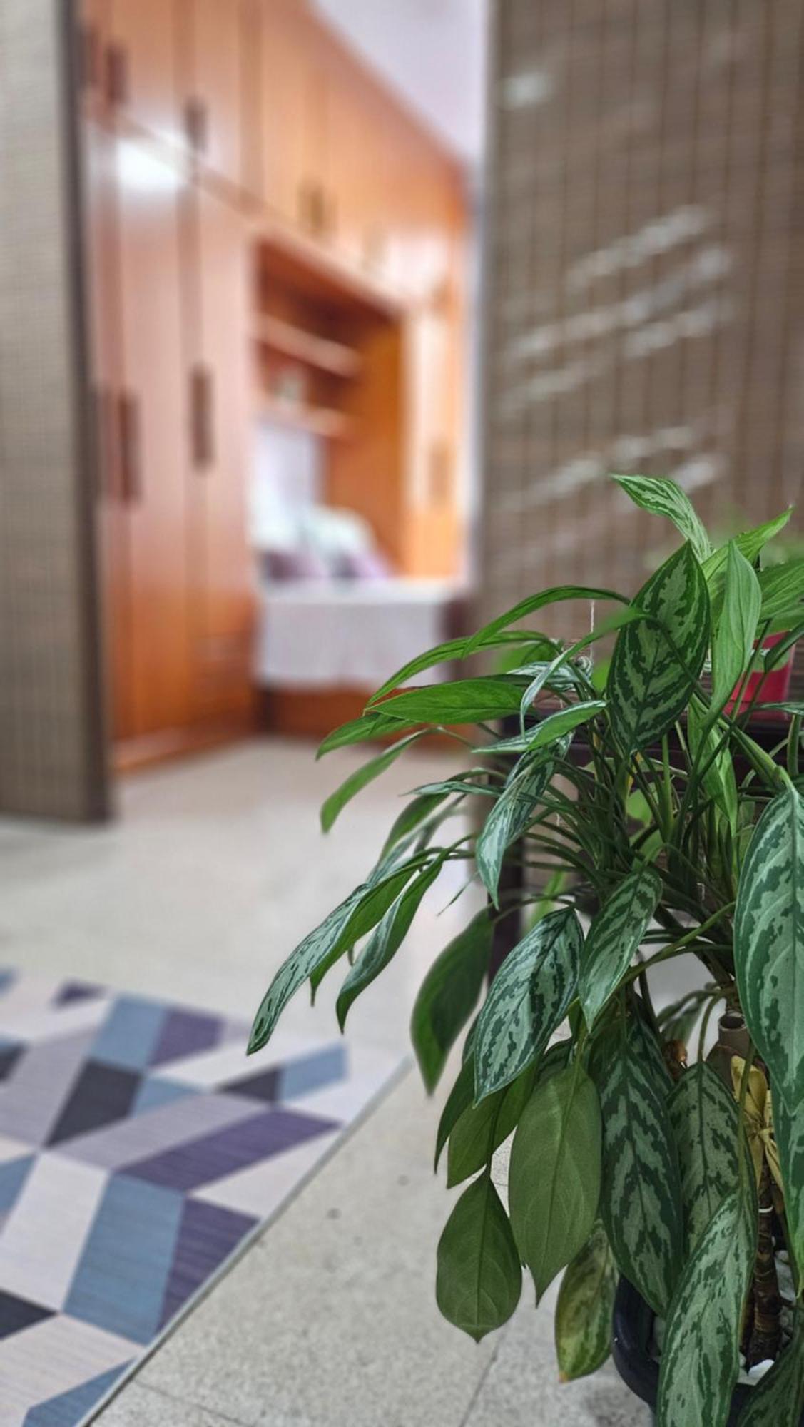 Copacabana Lofts 公寓 *